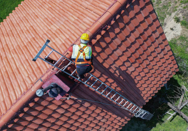 Steel Roofing in Clearwater, SC